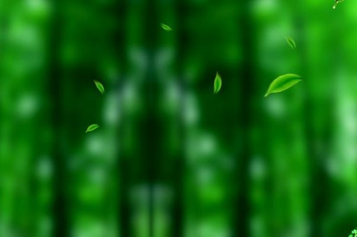 车顶行李箱品牌排行2025特别新排名前十名分析