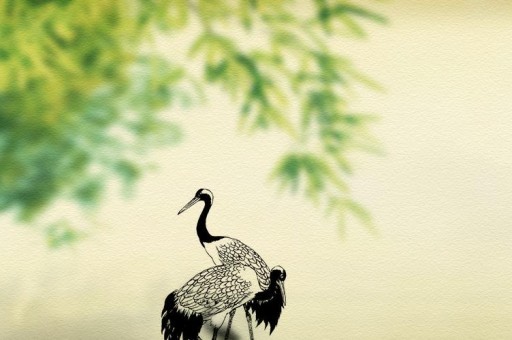 【全国财经网站top25排行榜】特别权威专业的财经网站有哪些