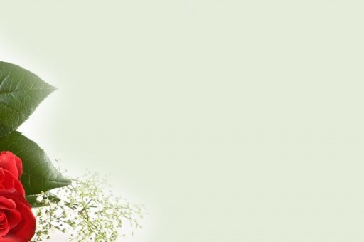十大壁纸墙纸品牌排行榜2025近期排名前十名分析