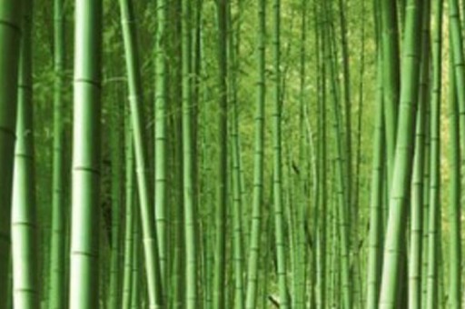 韩国十大女团排行榜2025特别新排名前十名分析