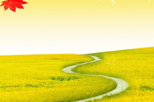 中国最贵的车排行版榜2024最新排名前十名对比