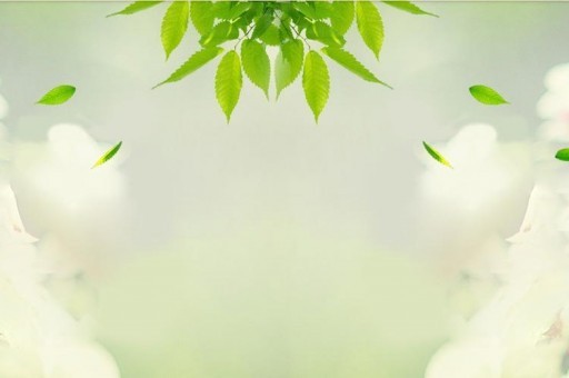 张翰十大经典电视剧2025年排名前十名榜单出炉