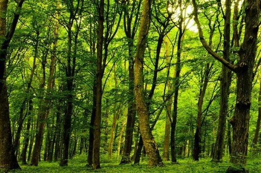 江苏十大名山排行榜2025最新排名前十名榜单出炉