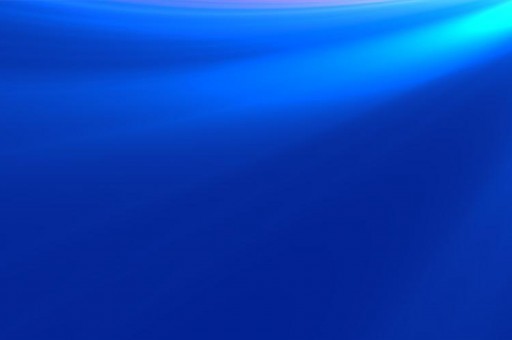 2025年富豪榜特别新排名2025特别新排名前十名分析