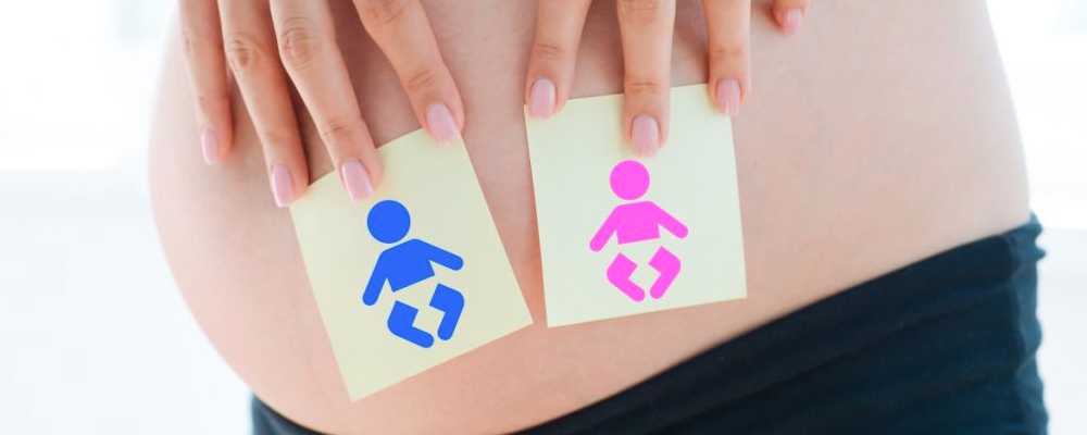 孕妇梦见蛇预示着生男还是生女