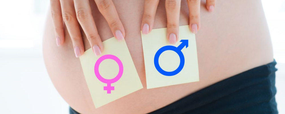生男生女可以控制吗